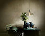 Tinted Glass Shade Industrial Pendant Light - DWHOME