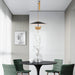 Gaetano Pendant Lamp-DWHOME