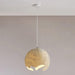 Geometric Resin Pendant Light-DWHOME