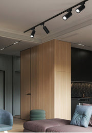Gilded Rail Track Light-DWHOME