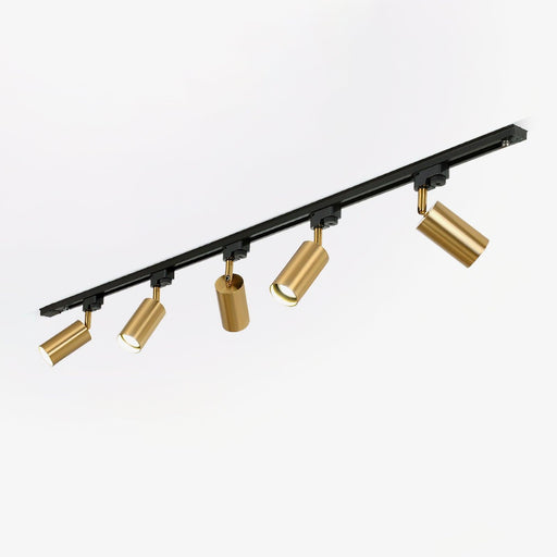 Gilded Rail Track Light - DWHOME