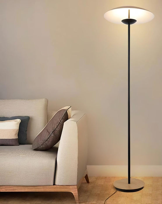 Innovative Directional Floor Lamp.