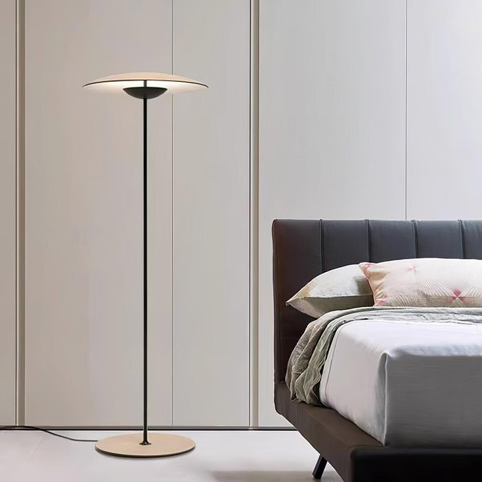 Innovative Directional Floor Lamp.