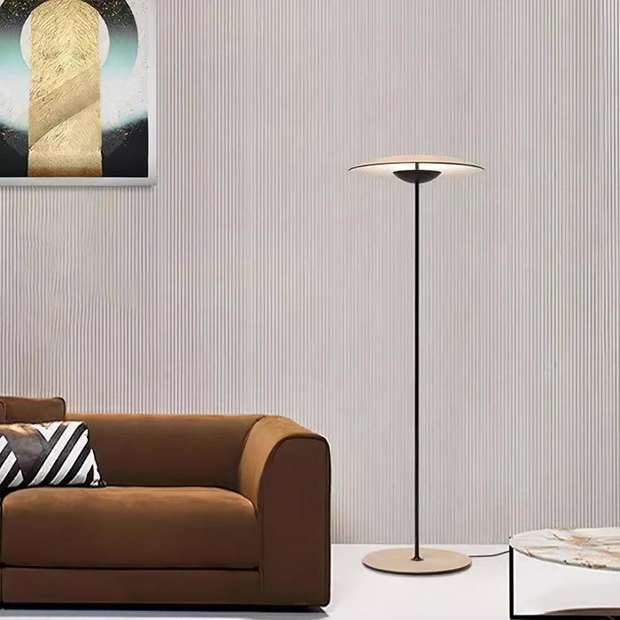 Innovative Directional Floor Lamp.