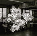 Gingko Leaves Chandelier - DWHOME