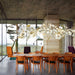 Gingko Chandelier A.