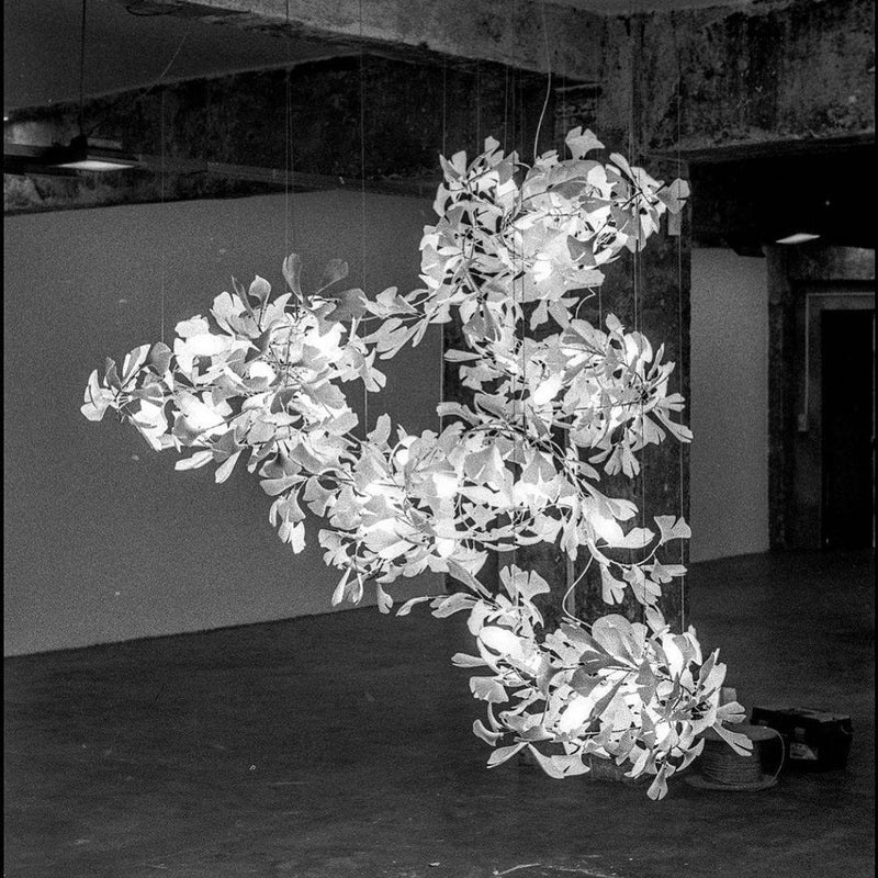 Gingko Chandelier F-DWHOME