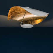 Giorgio Ceiling Light-DWHOME