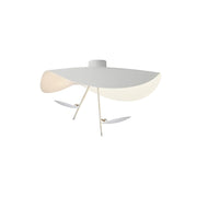 Giorgio Ceiling Light-DWHOME