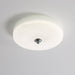 Glacier Essence Ceiling Light-DWHOME