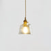 Glass Cup Pendant Lamp-DWHOME