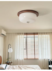 Glass Dome Ceiling Light-DWHOME
