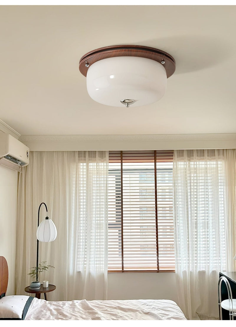 Glass Dome Ceiling Light-DWHOME
