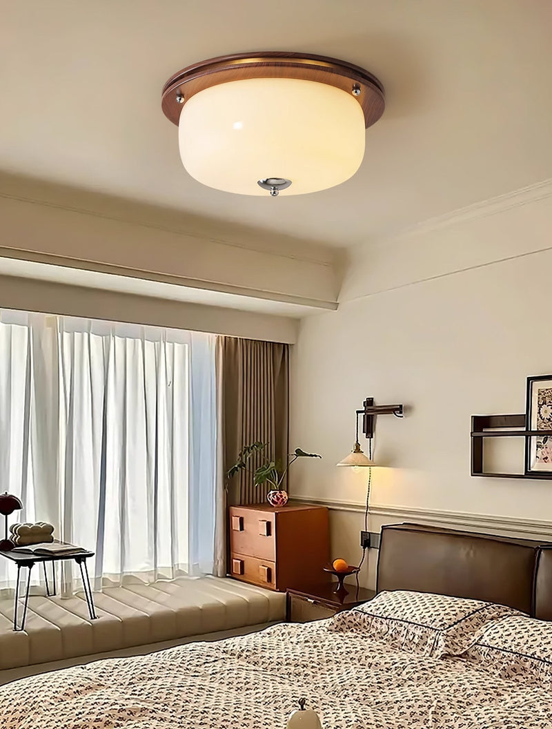 Glass Dome Ceiling Light-DWHOME