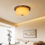 Glass Dome Ceiling Light-DWHOME