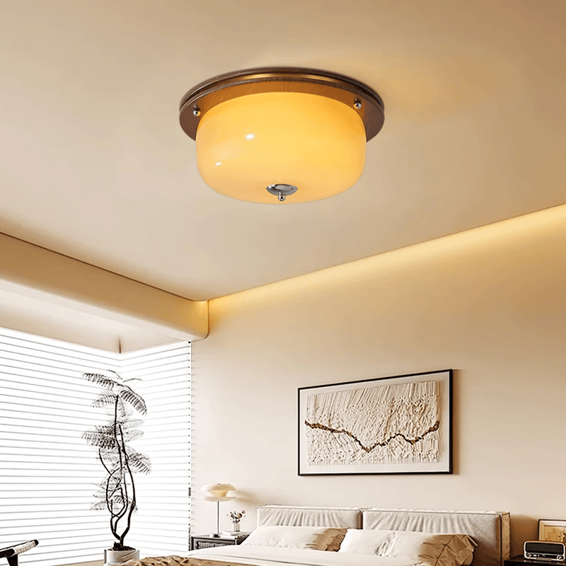 Glass Dome Ceiling Light-DWHOME