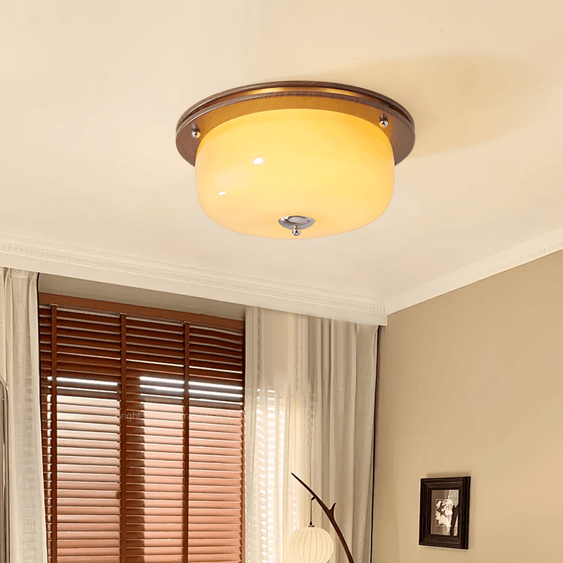 Glass Dome Ceiling Light-DWHOME
