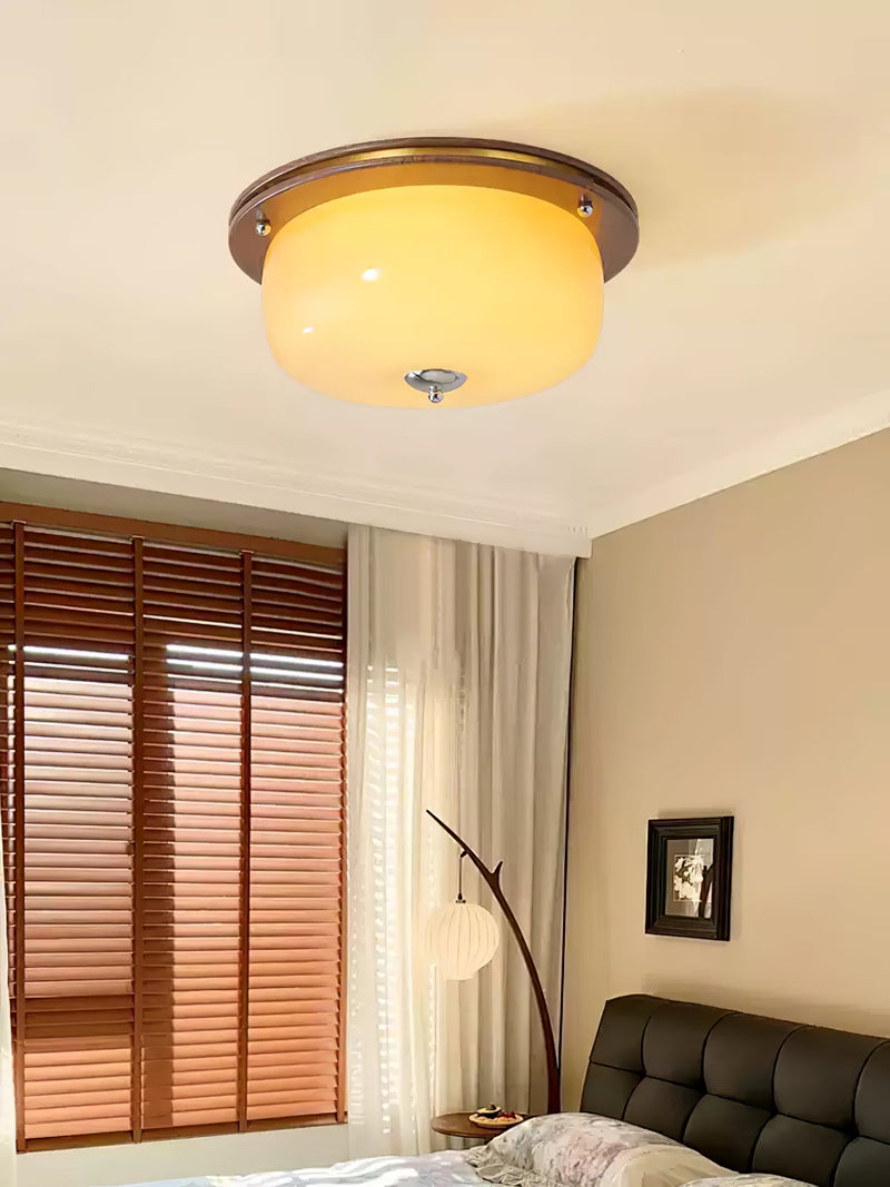 Glass Dome Ceiling Light-DWHOME