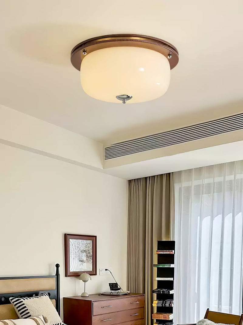 Glass Dome Ceiling Light-DWHOME