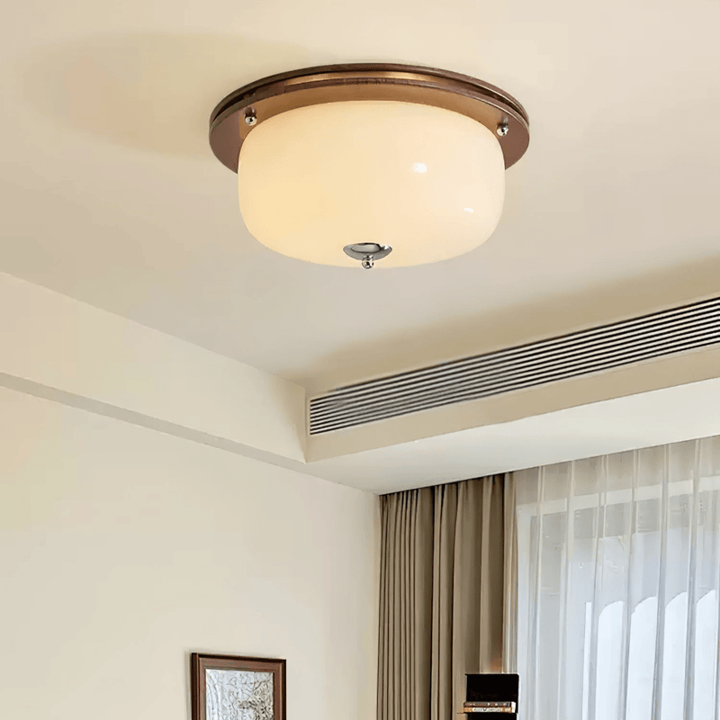 Glass Dome Ceiling Light-DWHOME