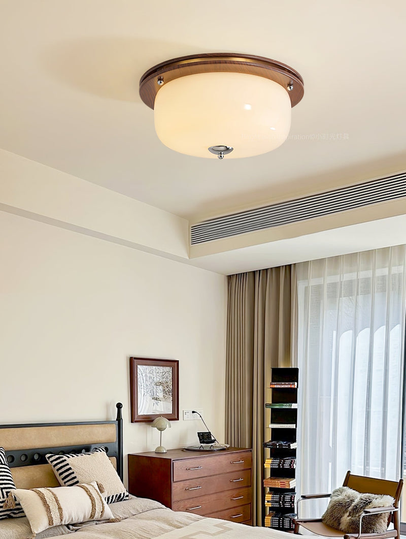 Glass Dome Ceiling Light-DWHOME