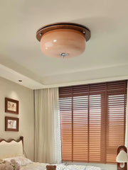 Glass Dome Ceiling Light-DWHOME