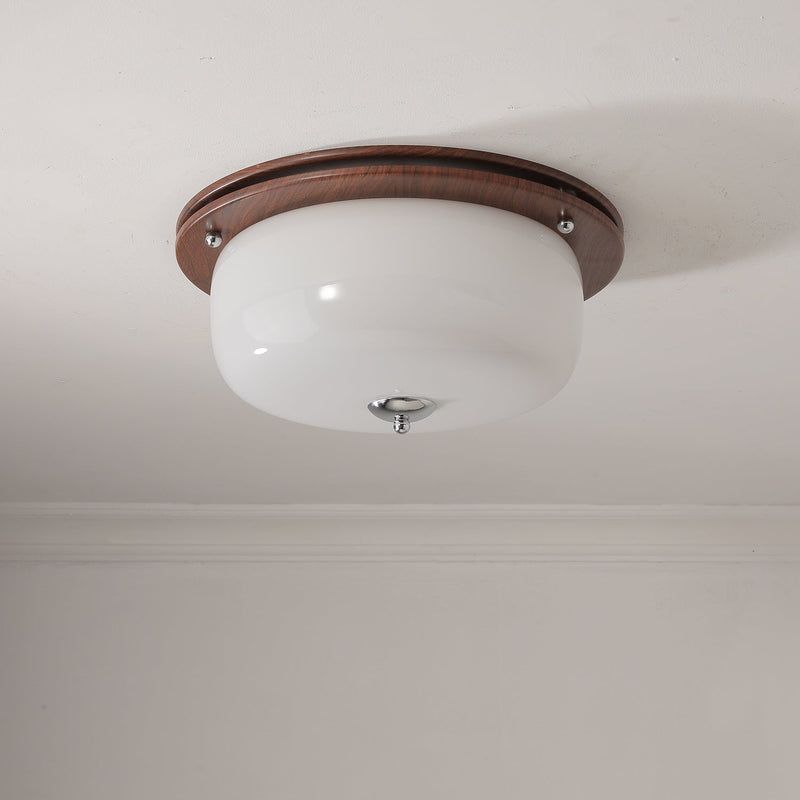 Glass Dome Ceiling Light-DWHOME