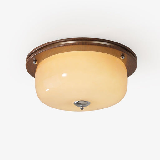 Glass Dome Ceiling Light-DWHOME