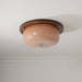 Glass Dome Ceiling Light-DWHOME