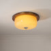 Glass Dome Ceiling Light-DWHOME