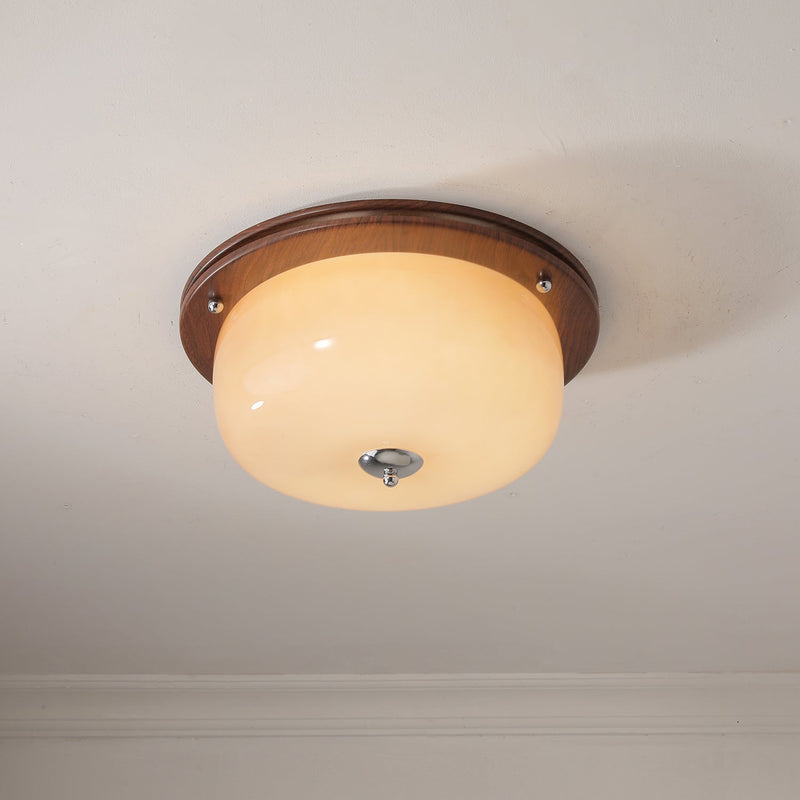 Glass Dome Ceiling Light-DWHOME