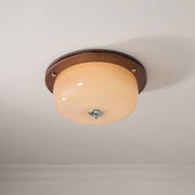 Glass Dome Ceiling Light-DWHOME