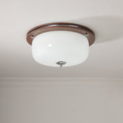Glass Dome Ceiling Light-DWHOME