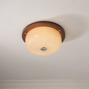 Glass Dome Ceiling Light-DWHOME
