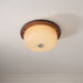 Glass Dome Ceiling Light-DWHOME