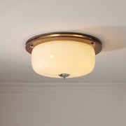 Glass Dome Ceiling Light-DWHOME