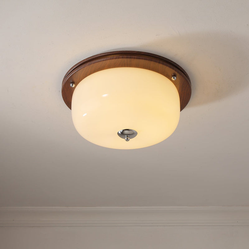 Glass Dome Ceiling Light-DWHOME