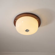 Glass Dome Ceiling Light-DWHOME
