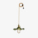 Glass Hibiscus Flower Swag Light-DWHOME