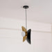 Golden Petal Pendant Lamp-DWHOME