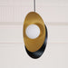 Golden Petal Pendant Lamp-DWHOME