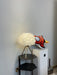 Goose Feather Table Lamp-DWHOME