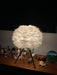 Goose Feather Table Lamp-DWHOME