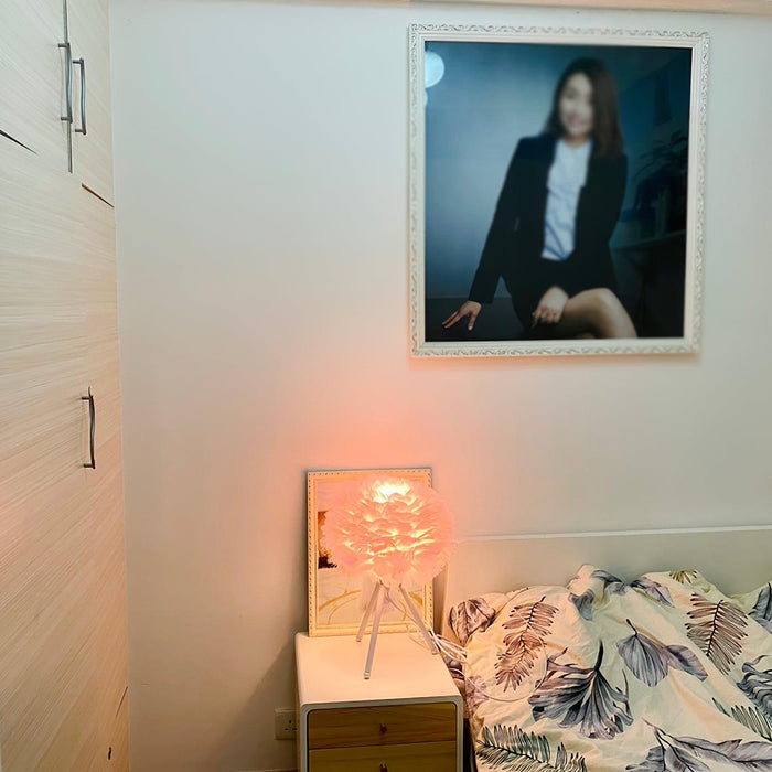Goose Feather Table Lamp-DWHOME