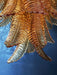 Gorgeous Murano Felci Amber Glass Chandelier-DWHOME