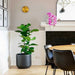 Gossa Wall Lamp-DWHOME