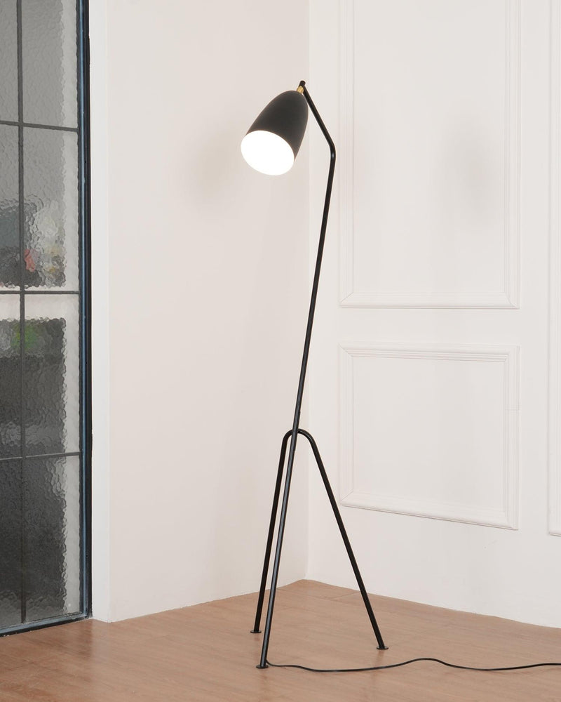 Grasshopper Floor Lamp-DWHOME