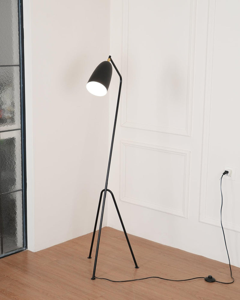 Grasshopper Floor Lamp-DWHOME