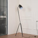 Grasshopper Floor Lamp-DWHOME