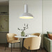 Resin Apollo Pendant Light-DWHOME